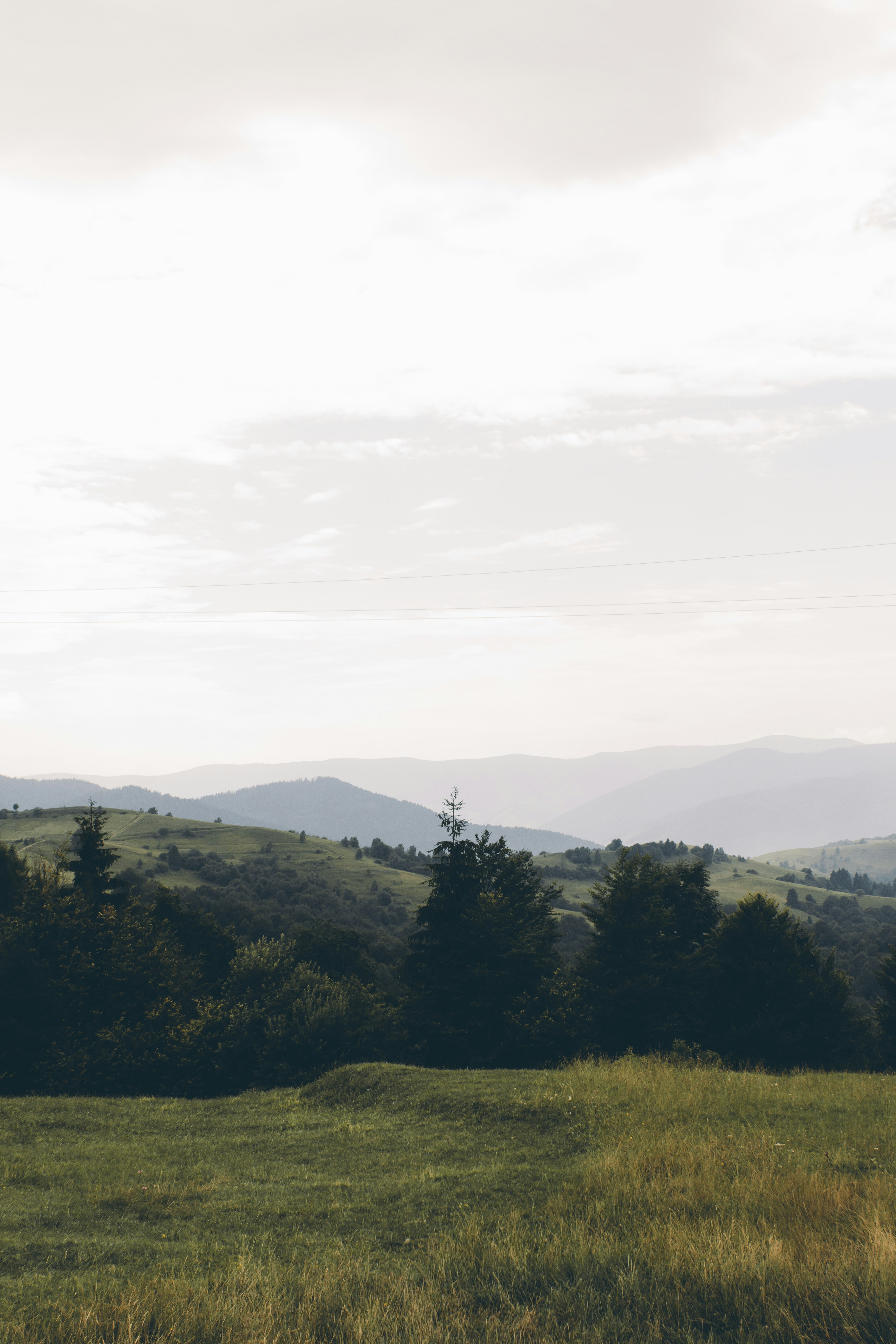 green trees on mountain under white sky during daytime